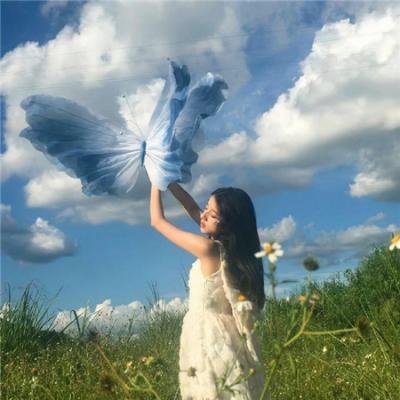 没有荣誉